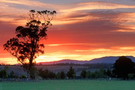 lghorobbbbbbbbbbbbbbbbbbbbbb